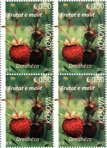 Kosovo Stamps 2021. Flora. Forest fruits: strawberry. Block of 4 MNH