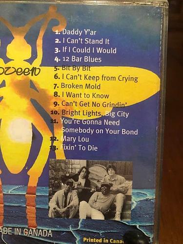The Carpenter Ants: Long Live the Queen...Live from the Empty Glass, 1997