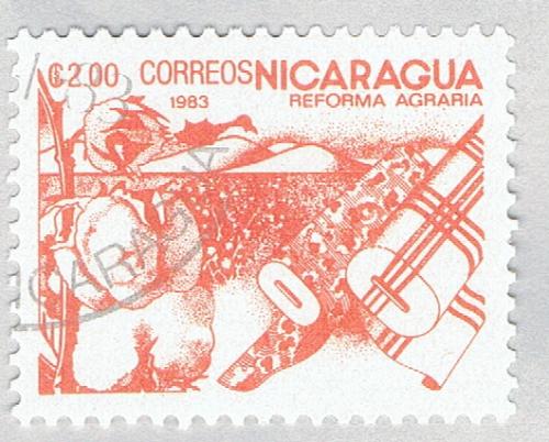 Nicaragua Cotton orange 300c (AP121415)-2