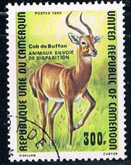 Cameroun 679 Used Buffon de Kob 1980 CV 1.20 (C0256)+