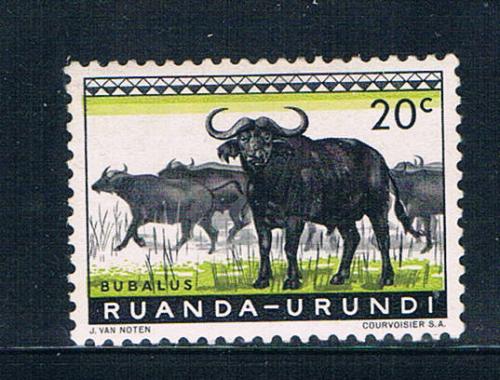 Ruanda Urundi 138 Unused Cape Buffaloes 1959 (R0261)+