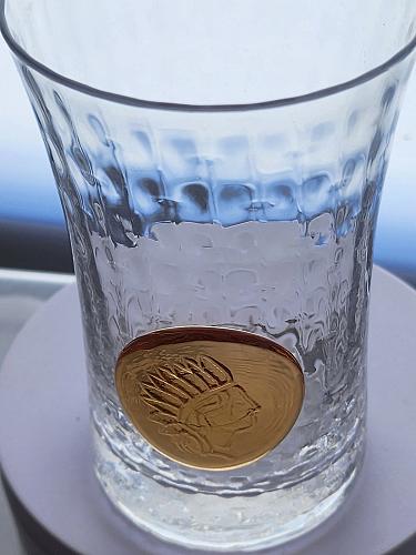 Emblem Indian Head tumbler optic