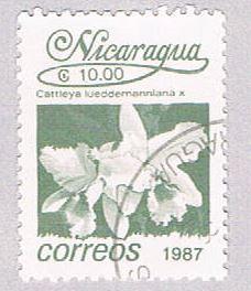 Nicaragua Hibiscus 10 (AP107923)