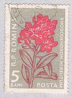 Romania Flower 55 (AP114010)