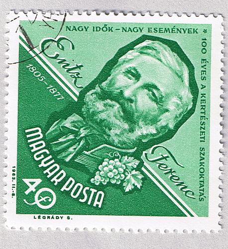 Hungary Used Man green 40 (BP88114)