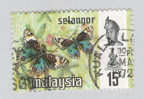 Malaysia Selangor 133 Butterflies Used 1 (BP96913)