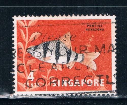 Singapore 54 Used Tropical Fish (S0274)