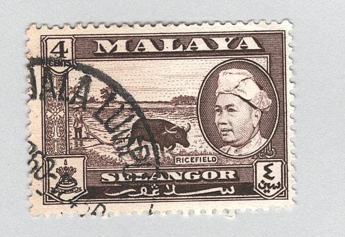 Mayala Selangor 104 1957 Sultan Alam Used (BP89512)