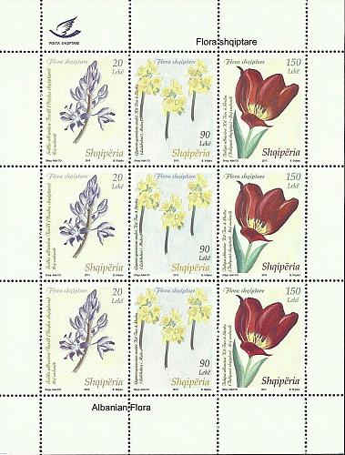 Albania 2013. Flora Tulipa albanica Seilla Albanien Gymnospermium maloi. Sheet