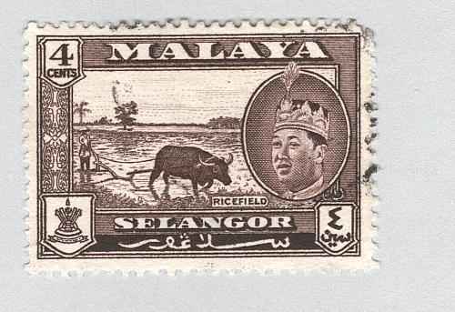 Mayala Selangor 116 1957 Sultan Aziz Used (BP89516)
