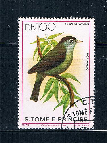 Saint Thomas and Prince Is 546 Used Bird Speirops lugubris CV 16.00 (S0697)