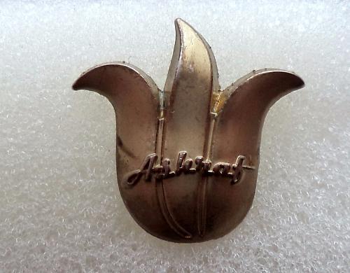 Ashraf. Rare Pin, Badge.