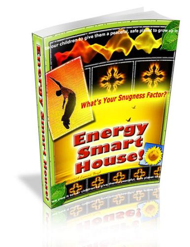 Energy Smart House Digital Download