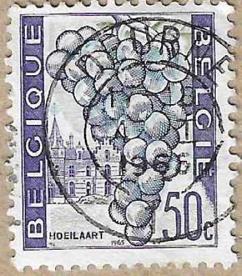 Grapes and Houses, Hoeilaart - 16742
