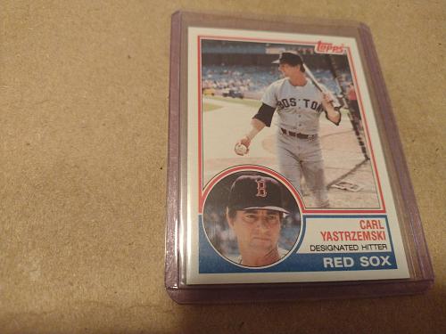 1983 Topps 19 Card Lot