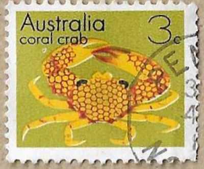 Coral Crab - 16770
