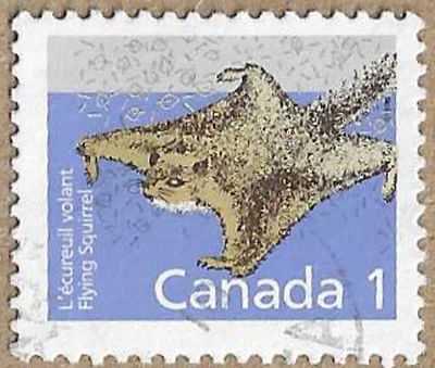 Northern Flying Squirrel - 16883