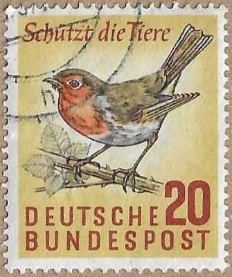 European Robin - 16941