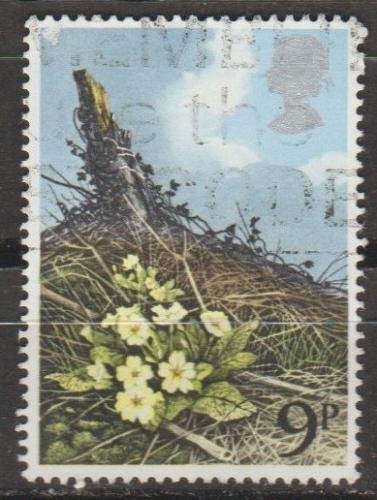 [GB0855] Great Britain: Wildflowers - Primrose (1979) Used