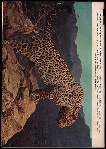 THE LONE RANGER # 4 Gold Key Comic From 1966 With A Painted Cover