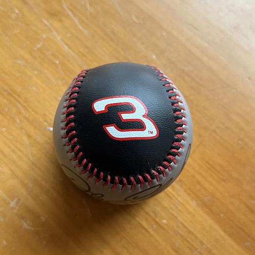 used-dale earnhardt sr.-#3-the intimidator-baseball-with cover& stand-nascar-ex