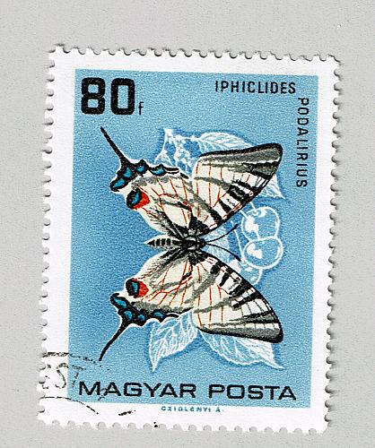 Hungary Used Butterfly blue 80 (BP88006)