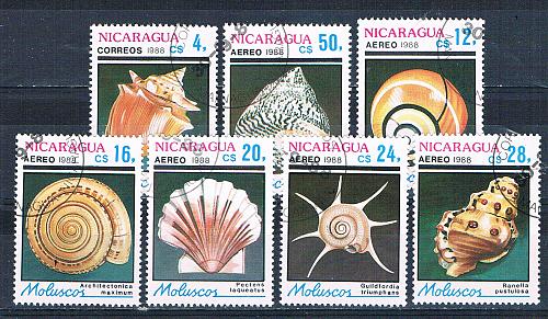 Nicaragua 1719-25 Used set Shells 1988 CV 2.05 (N0713)+