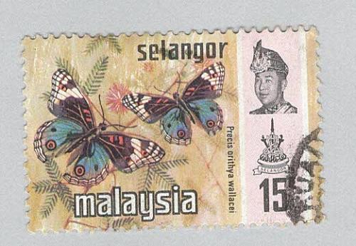 Malaysia Selangor 133 Butterflies Used 3 (BP96912)
