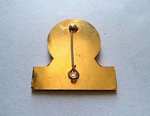 MEGAN THE MOTOR CARAVANNERS CLUB. Lapel Pin Badge