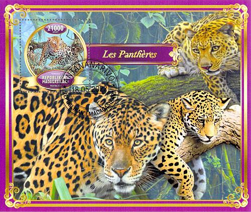 Madagascar 2022 Sheet Leopard big cats 1 value (TS0074)