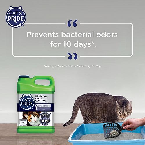 Cat's Pride Max Power Bacterial Odor Control - Up to 10 Days of Powerful Odor...