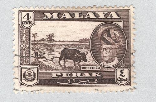 Malaya Perak 129 1957 Sultan Tzuddin Used (BP89401)