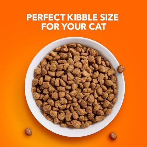 IAMS PROACTIVE HEALTH Adult Indoor Weight Control & Hairball Care Dry Cat Foo...