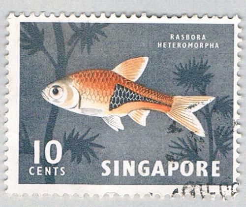Singapore Fish grey 10c 2 (AP126314)