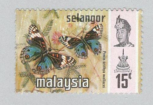 Malaysia Selangor 133 Butterflies Used 3 (BP96918)
