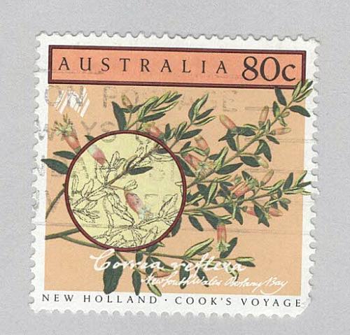 Australia Used Flowers brown 80 (BP90511)