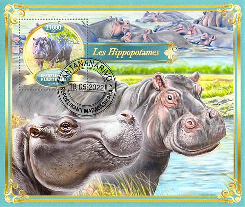 Madagascar 2022 Sheet Hippos animals 1 value (TS0066)