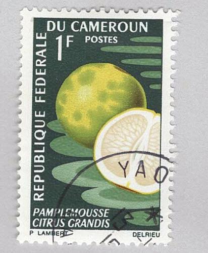 Cameroun 460 Grapefruit Used (BP93818)