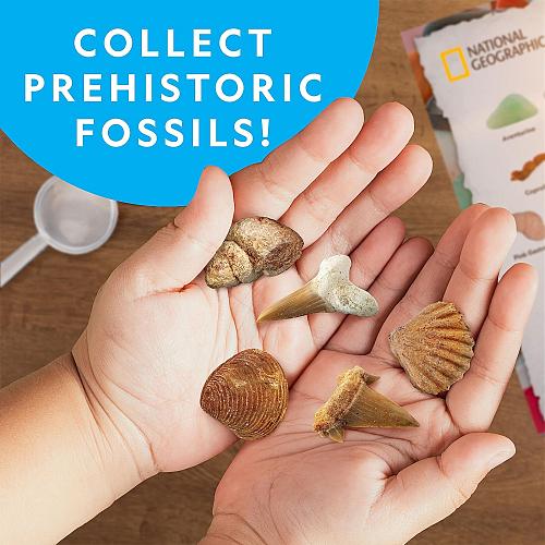 NATIONAL GEOGRAPHIC Rock Collection Box for Kids – 300 Piece Gemstones and Cr...