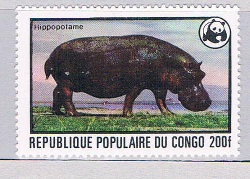 Congo PR 457 Unused Hippo 1978 CV 8.00 (MV0331)+