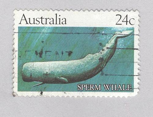 Australia Used Sperm whale blue 24 (BP90619)