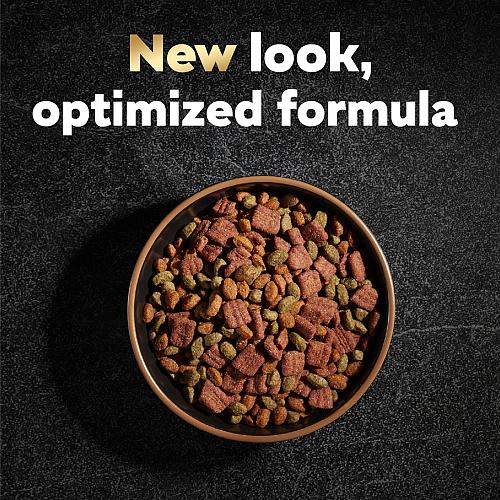 CESAR Adult Small Breed Dry Dog Food Filet Mignon Flavor with Spring Vegetabl...