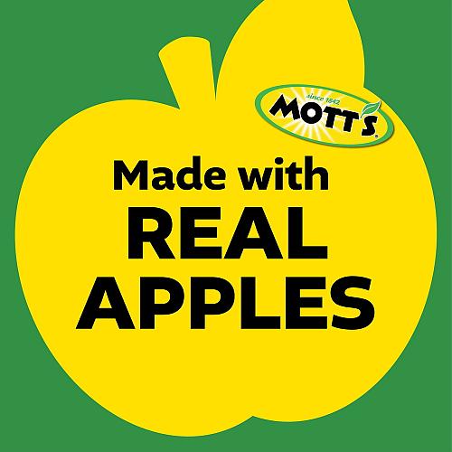 Mott's Cinnamon Applesauce 4 Ounce Cup 6 Count