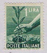 Italy Plant 1L 2 (AP120433)