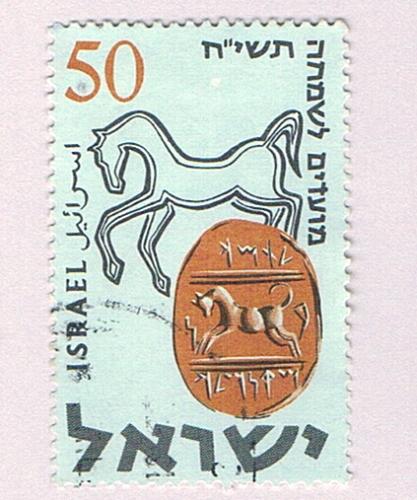 Israel Used Horse (BP78806)