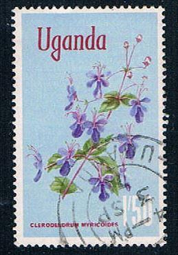 Uganda flower (UP22R403)