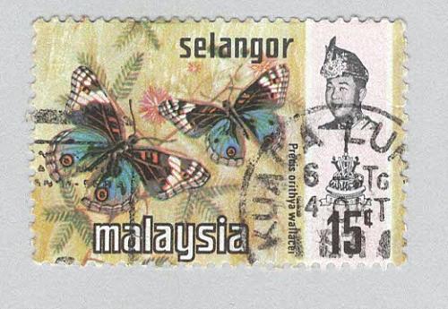 Malaysia Selangor 133 Butterflies Used 1 (BP96916)