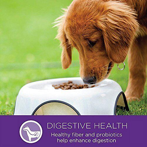 Wellness Complete Health Small Breed Dry Dog Food with Grains Natural Ingredi...