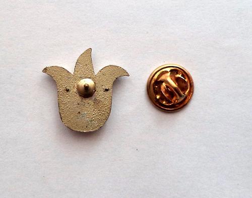 Ashraf. Rare Pin, Badge.