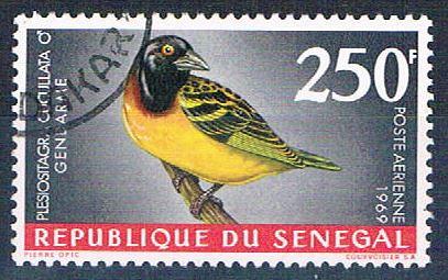 Senegal C55 Used Bird Village Weaver ul 1969 CV 1.75 (S0819)+